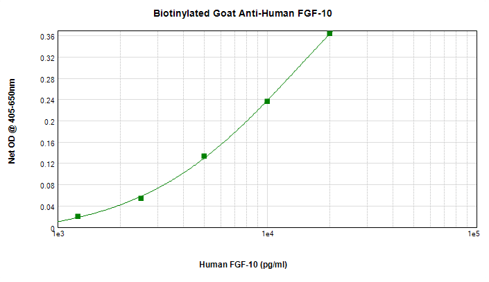Polyclonal Goat anti-Human FGF10 Antibody (Biotin, WB)
