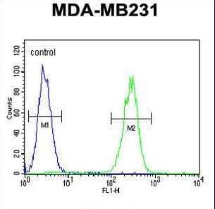 CRHR2 / CRF2 Receptor Antibody (aa243-272)