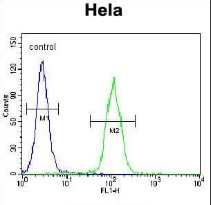 LMTK3 Antibody (aa156-187)