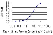 HELLS Antibody (clone 1D10)