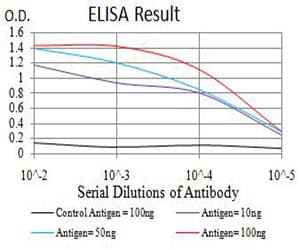 Monoclonal Mouse anti-Human RIP4 / ANKRD3 Antibody (clone 1F7D9, WB)