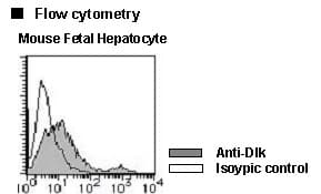Monoclonal Rat anti-Mouse DLK1 / Pref-1 Antibody (clone 24-11, PE)
