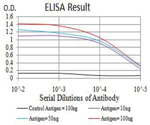 NCAM / CD56 Antibody (clone 1F6F10)