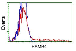 Monoclonal Mouse anti-Human PSMB4 Antibody (clone OTI1B6, WB)