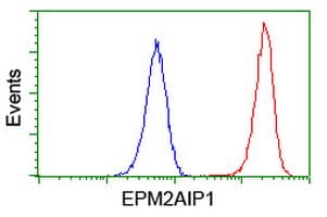 EPM2AIP1 Antibody (clone OTI1G9)