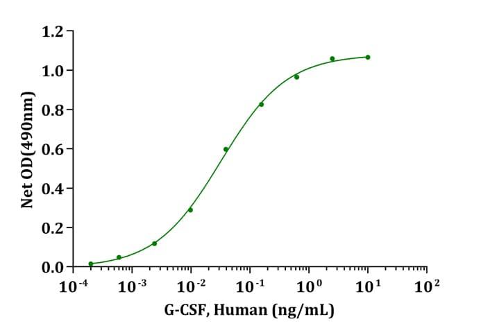 Human CSF3 / G-CSF Protein (Recombinant)