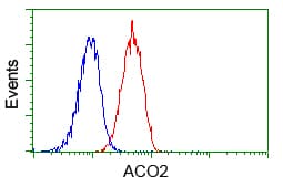 Monoclonal Mouse anti-Human ACO2 / Aconitase 2 Antibody (clone OTI7A11, IF, WB)