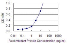 SNAP45 / SNAPC2 Antibody (clone 4B8)