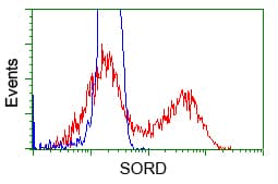 SORD / Sorbitol Dehydrogenase Antibody (clone OTI9G9)