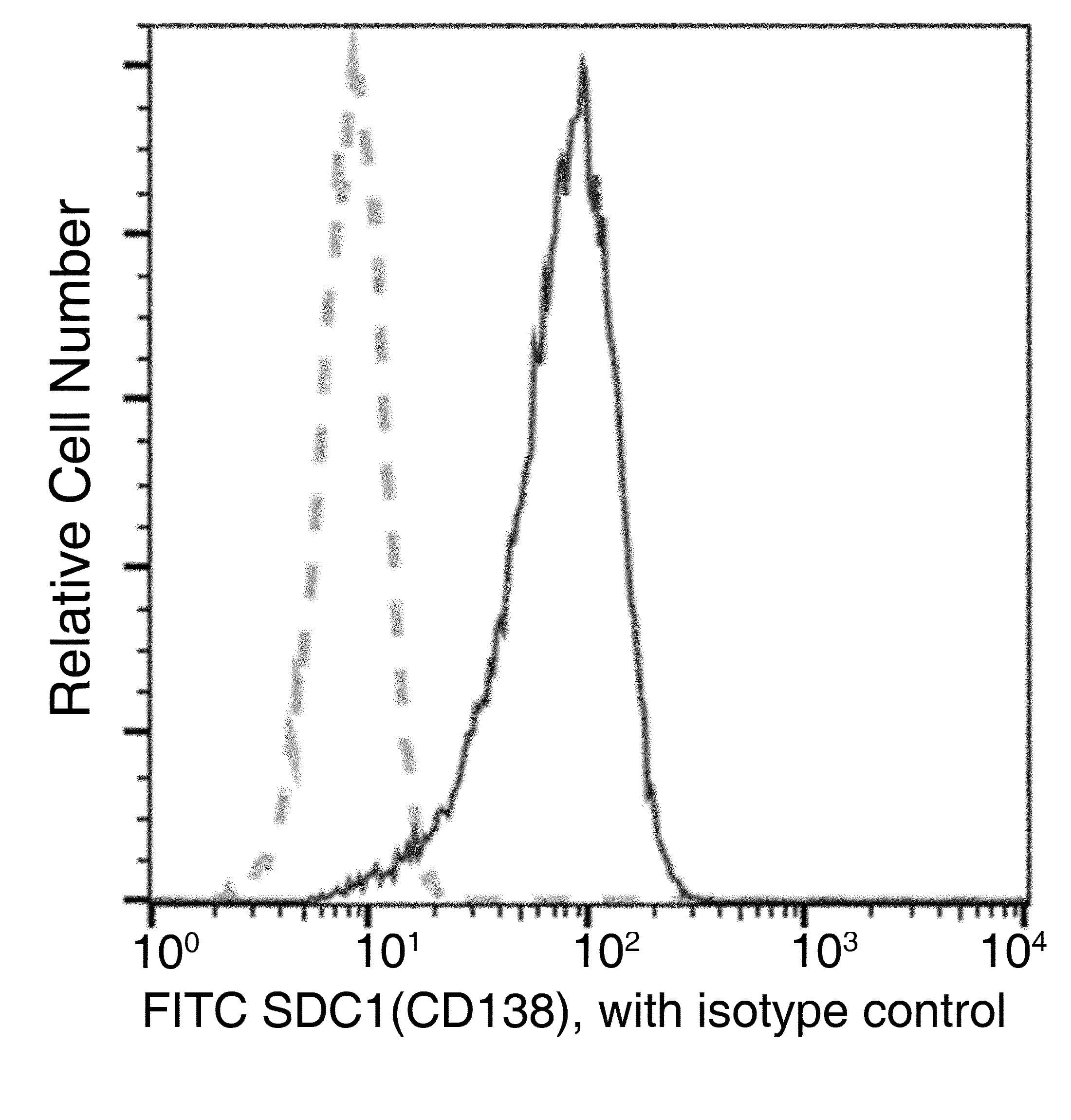 SDC1 / Syndecan 1 / CD138 Antibody (clone 017, FITC)