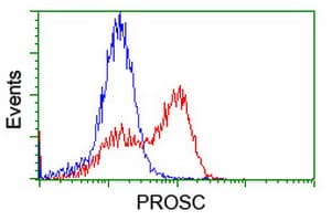 PROSC Antibody (clone OTI3A6, Carrier-free)