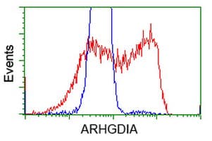 ARHGDIA / RHOGDI Antibody (clone OTI1F2, Carrier-free)