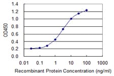 PDCL Antibody (clone 4G5)