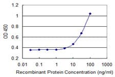 PEX10 Antibody (clone 1B8)