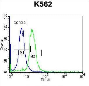 STARD5 Antibody (aa26-55)