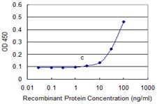 OMG / OMGP Antibody (clone 1A8)