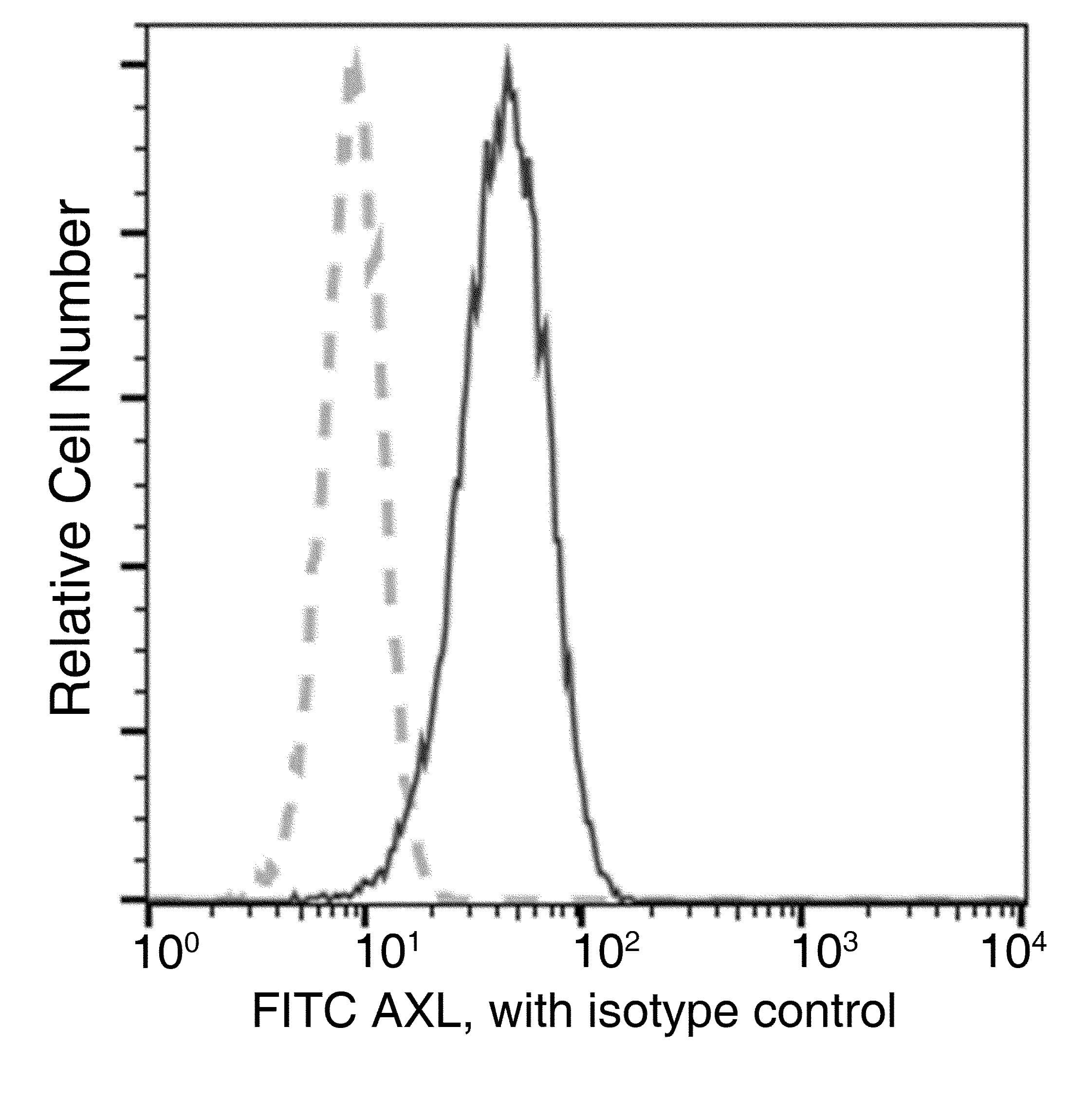 AXL Antibody (clone 12, FITC)