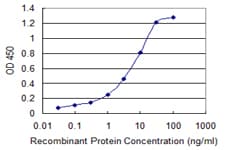 Monoclonal Mouse anti-Human SPN / CD43 Antibody (clone 3G8, WB)