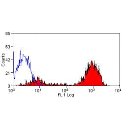 CD9 Antibody (clone Bu16)