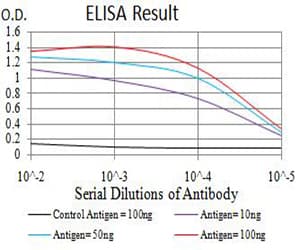 Monoclonal Mouse anti-Human AFAP1L2 / XB130 Antibody (clone 4E12D7, WB)