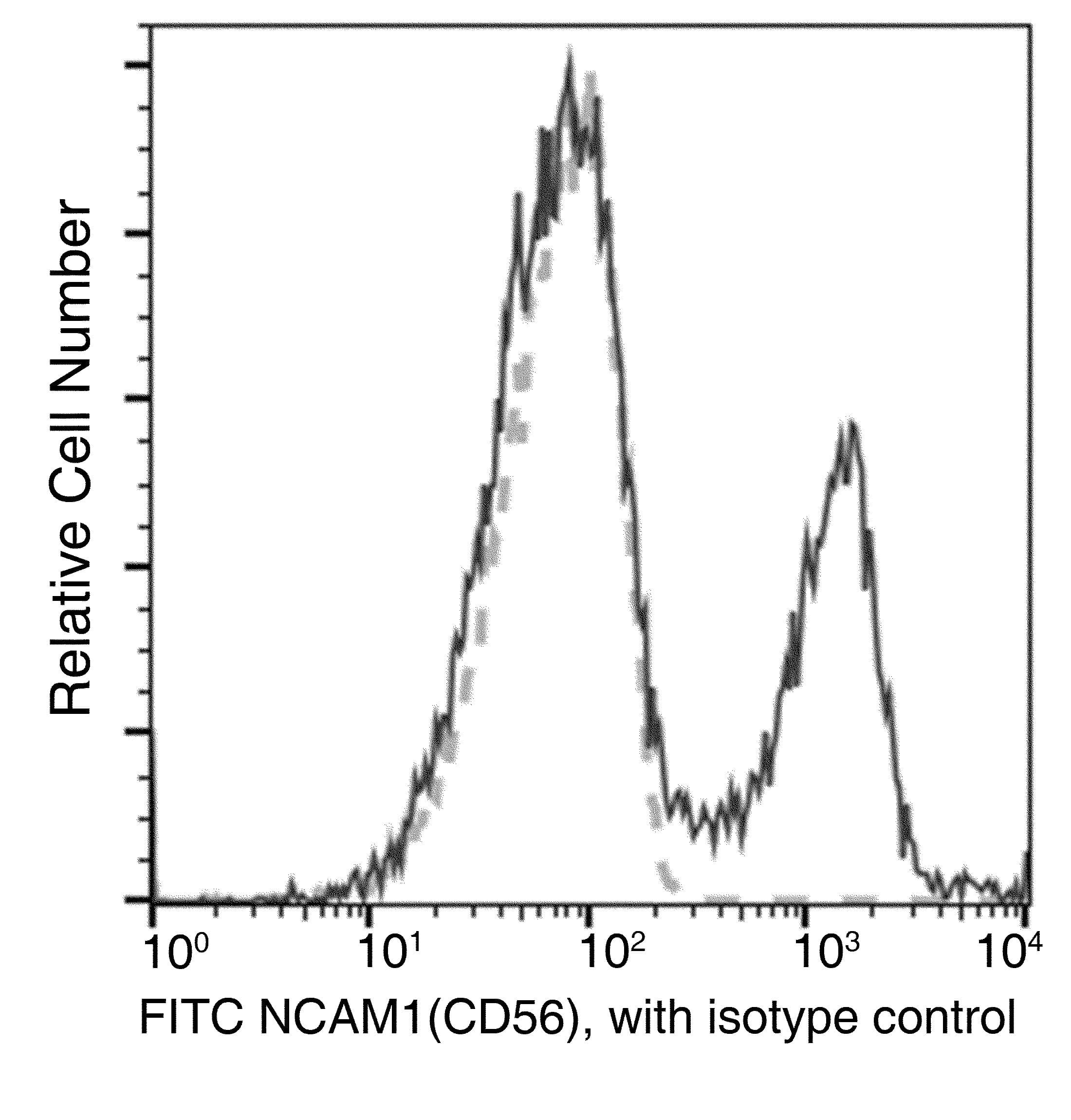 Monoclonal Mouse anti-Human NCAM / CD56 Antibody (clone 05, FITC)
