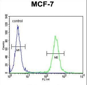 NKPD1 Antibody (aa532-560)