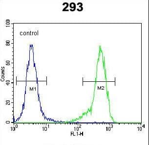 NDNF Antibody (aa80-109)