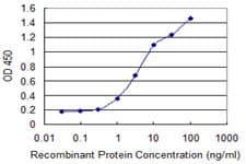 ARP5 / ANGPTL6 Antibody (clone 1A11)