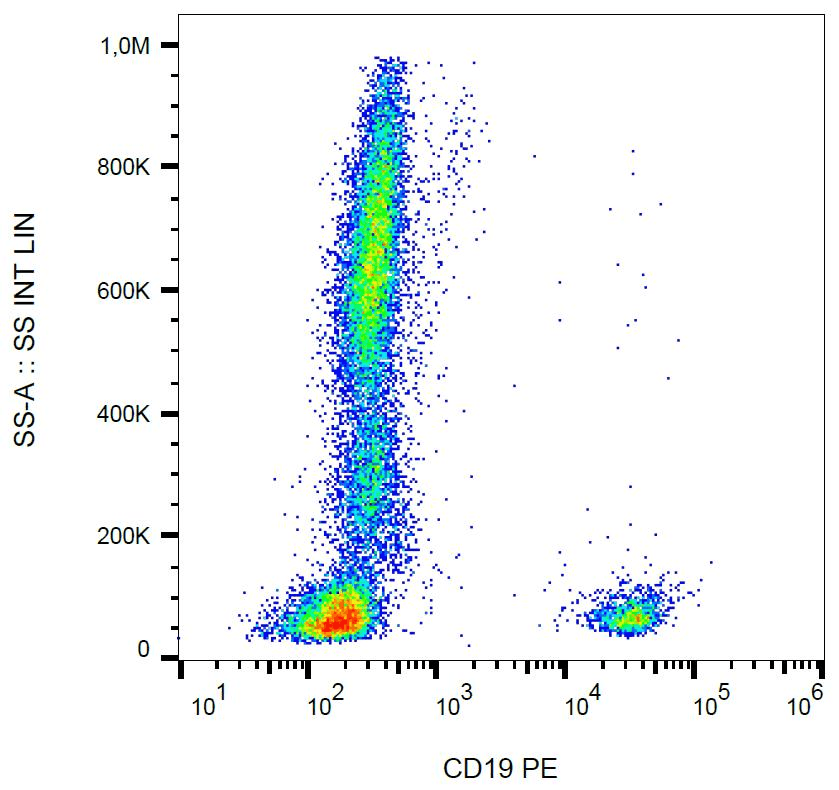 Monoclonal Mouse anti-Human CD19 Antibody (clone LT19, PE)