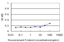 PDK1 Antibody (clone 3B7)