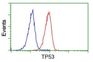TP53 / p53 Antibody (clone OTI2E4, Carrier-free)