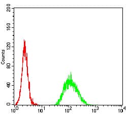 ADAMTS1 Antibody (clone 1C12E6)