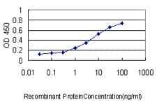 Monoclonal Mouse anti-Human PPIA / Cyclophilin A Antibody (clone 1F4-1B5, WB)