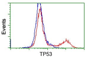 TP53 / p53 Antibody (clone OTI2C4)