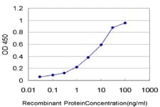 IHC-plus™ Monoclonal Mouse anti-Human DRAK1 / STK17A Antibody (clone 4D12, IHC, WB)