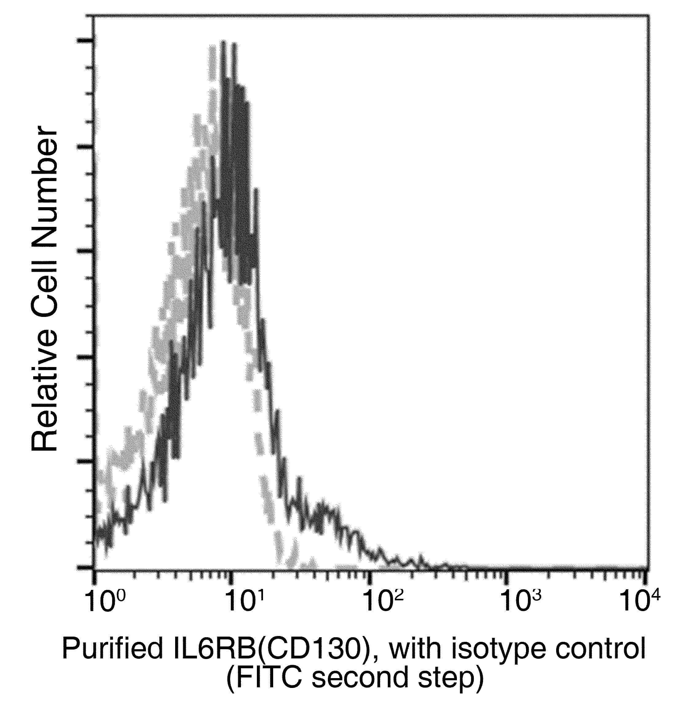 IL6ST / CD130 / gp130 Antibody (clone 11, Preservative Free)