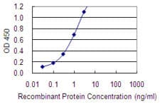 MAGEA2 Antibody (clone 1H4)
