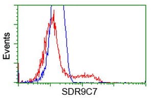 SDR9C7 Antibody (clone OTI11H10)
