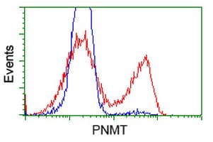 PNMT Antibody (clone OTI2A2, Carrier-free)