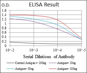 MCM2 Antibody (clone 1E7)