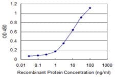 RAB7B Antibody (clone 1C3)