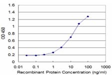 Monoclonal Mouse anti-Human PURA / Pur-Alpha Antibody (clone 3F10, WB)