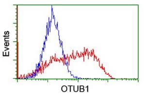 OTUB1 / OTU1 Antibody (clone OTI5F6, Carrier-free)