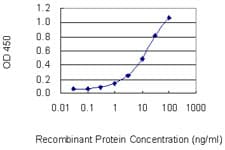 PPP3CC / CALNA3 Antibody (clone 4D1)