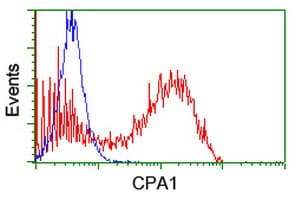 CPA1 / Carboxypeptidase A Antibody (clone OTI4C3)