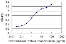 Gpnat1 / GNPNAT1 Antibody (clone 1E9)
