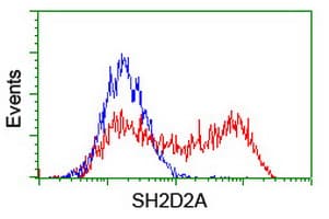 SH2D2A Antibody (clone OTI4F3)