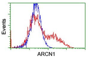 COPD / ARCN1 Antibody (clone OTI4H9)
