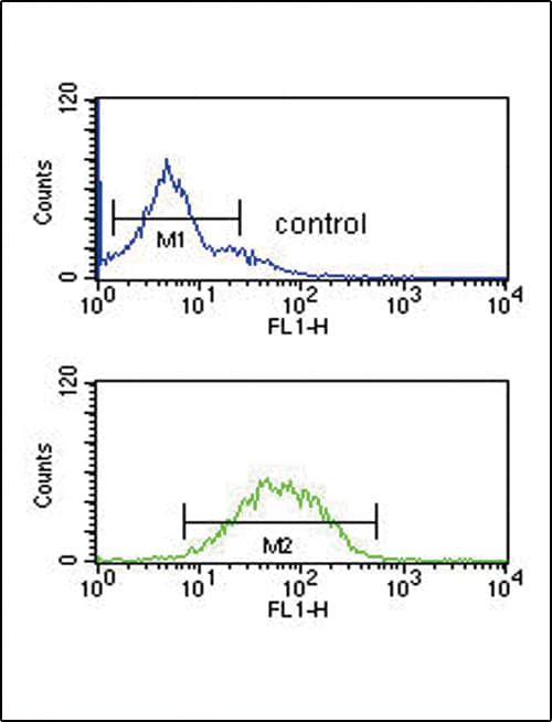 Sprouty 4 / SPRY4 Antibody (aa26-56)