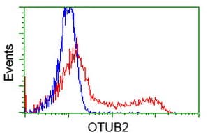 OTUB2 Antibody (clone OTI2E5)